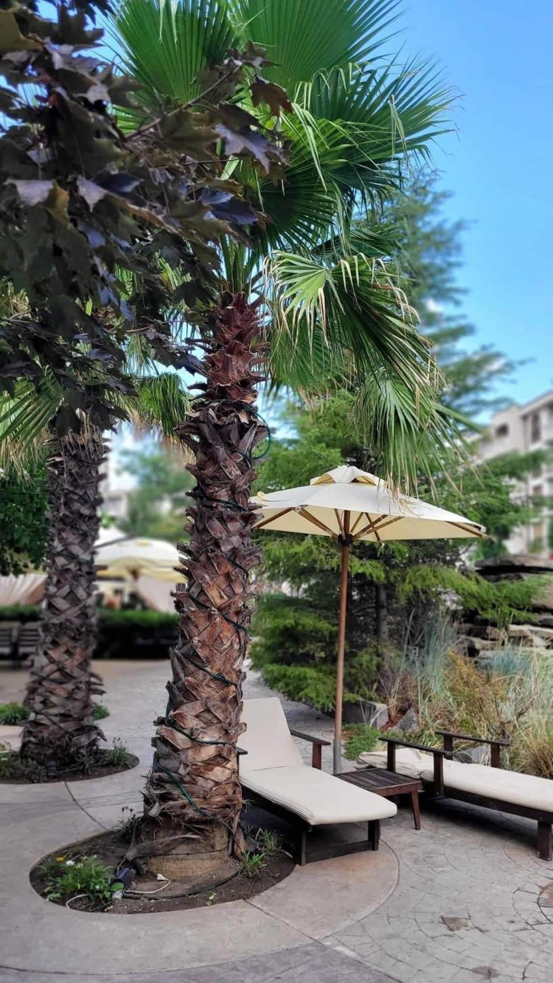 Wonderful Deluxe Appartement In Cascadas Family Resort Pantai Sunny Bagian luar foto